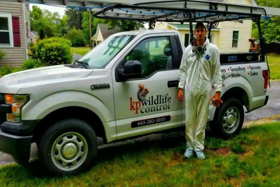 Reasons You May Need Wildlife Control Services