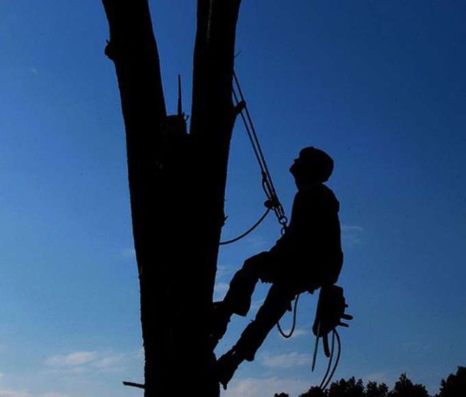 Buying a Boat 5 Tips to Choose the Right Boat for Your Needs Inspire